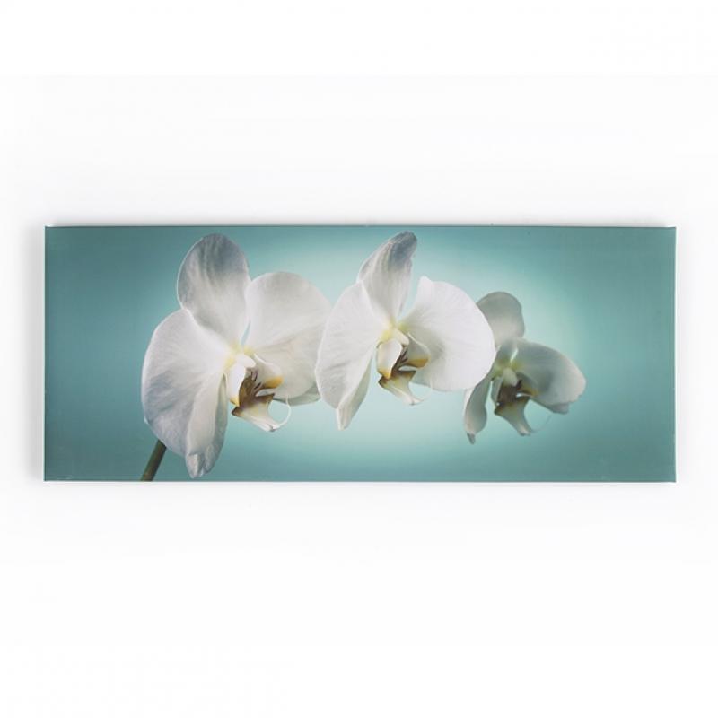 Bezrámový obraz 40-615, Teal orchid, Wall Art, Graham Brown